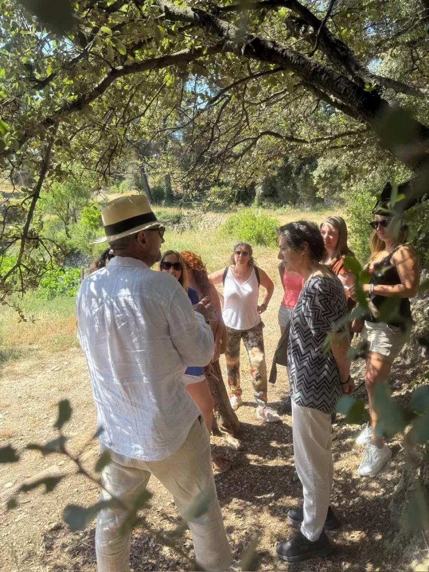 Experiencia oleícola Universum Olei en Barcelona