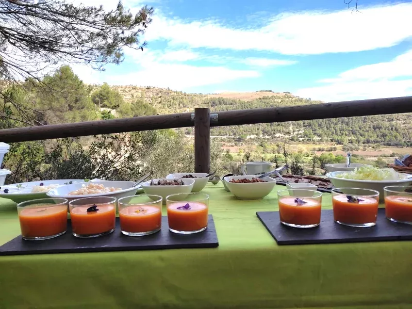 Olive oil tourism activity Agneta Experience in Barcelona