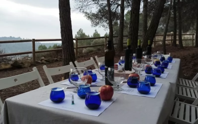 Disfruta del oleoturismo en Obaga de l’Agneta