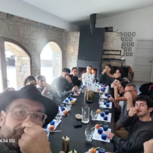 Olive oil tourism experiences at the estate