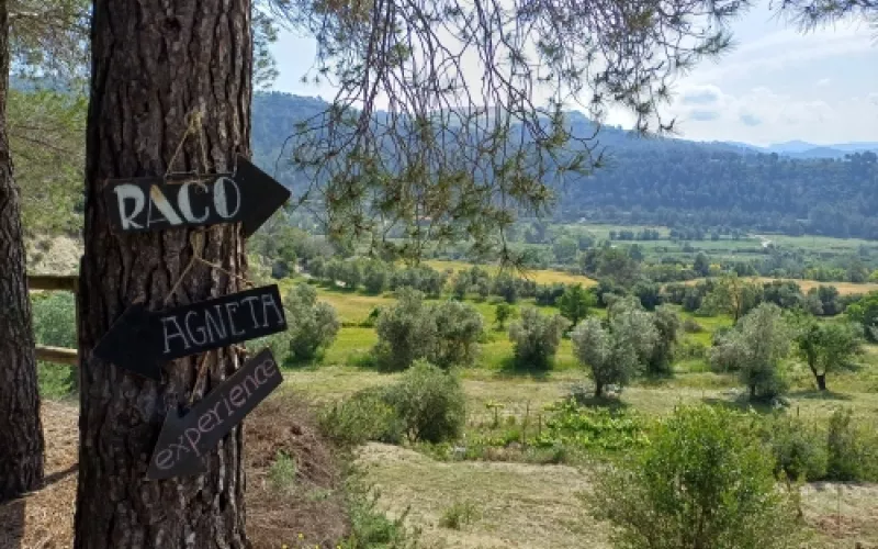 Turismo rural y oleoturismo en Barcelona