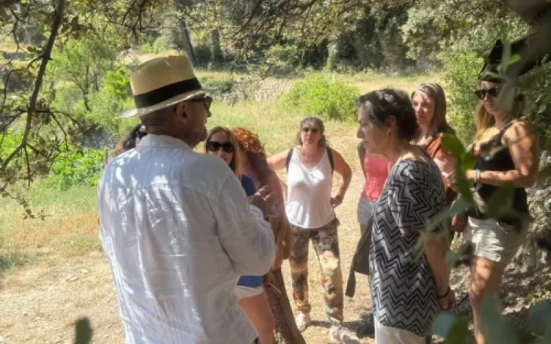 Cultura del aceite de oliva en Barcelona