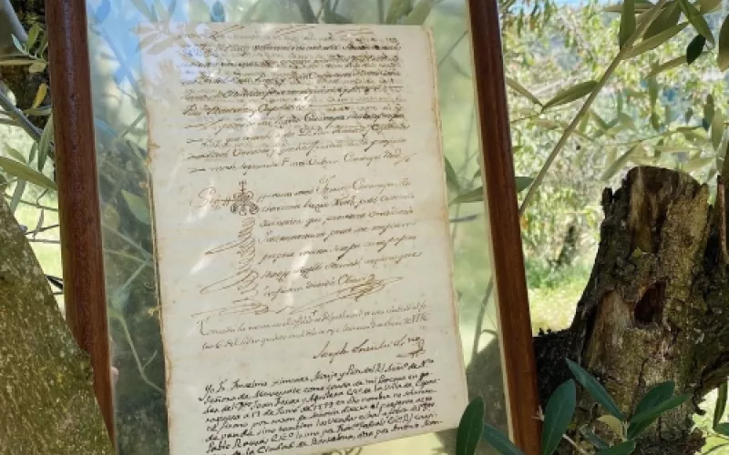 Turismo de aceite de oliva en Obaga de l’Agneta