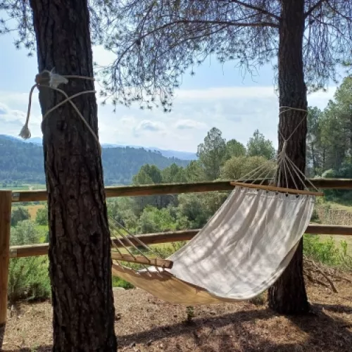 Discover olive oil culture in Barcelona