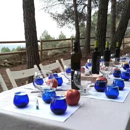 Universum Olei extra virgin olive oil from Obaga de l’Agneta