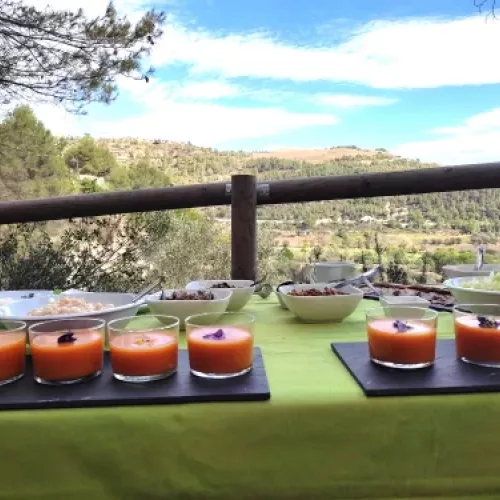 Olive oil tourism activity Agneta Experience in Barcelona