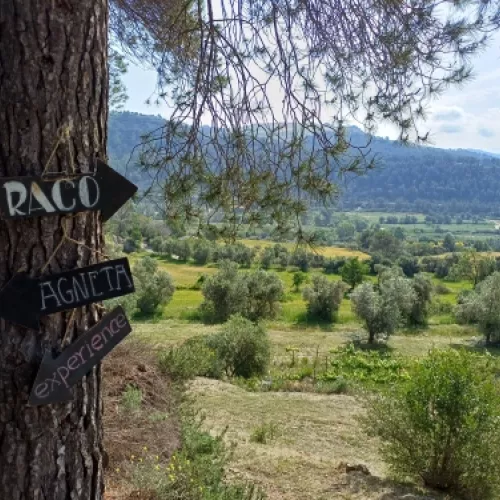 Rural and olive oil tourism in Barcelona