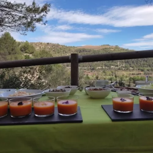Olive oil tourism and tradition at Obaga de l’Agneta