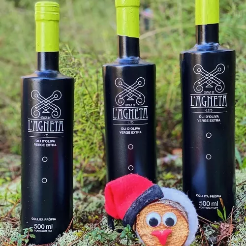 Unique experiences in olive oil culture