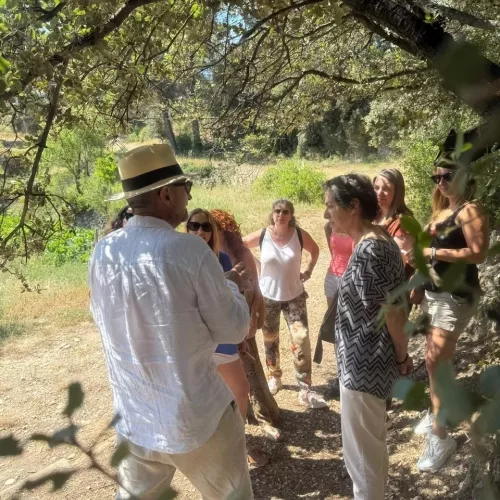 Olive oil culture in Barcelona