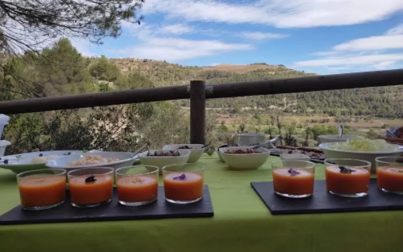 Oleoturismo y tradición en Obaga de l’Agneta