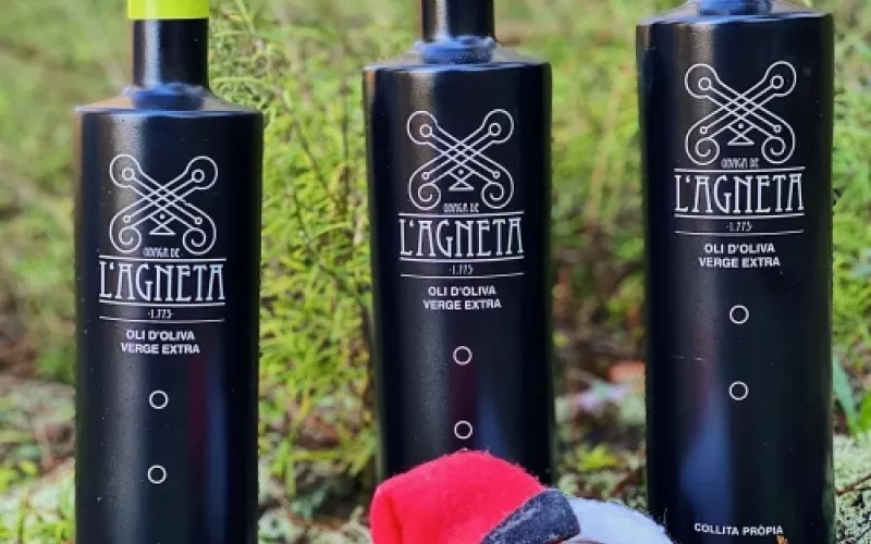 Experiencias únicas en la cultura del aceite