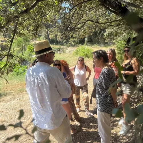 Olive oil tourism in Barcelona with Obaga de l’Agneta