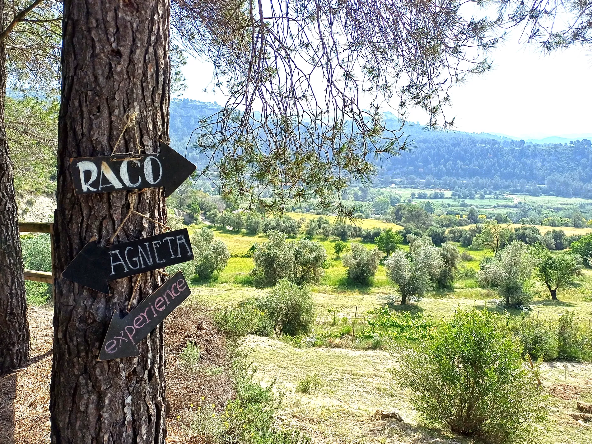 Obaga de l’Agneta, empresa de oleoturismo en Barcelona