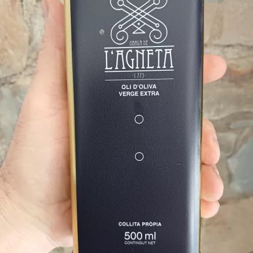 Live olive oil culture at Obaga de l’Agneta